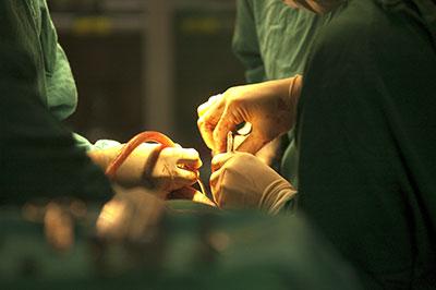 Bilde som viser utsnitt fra en operasjon